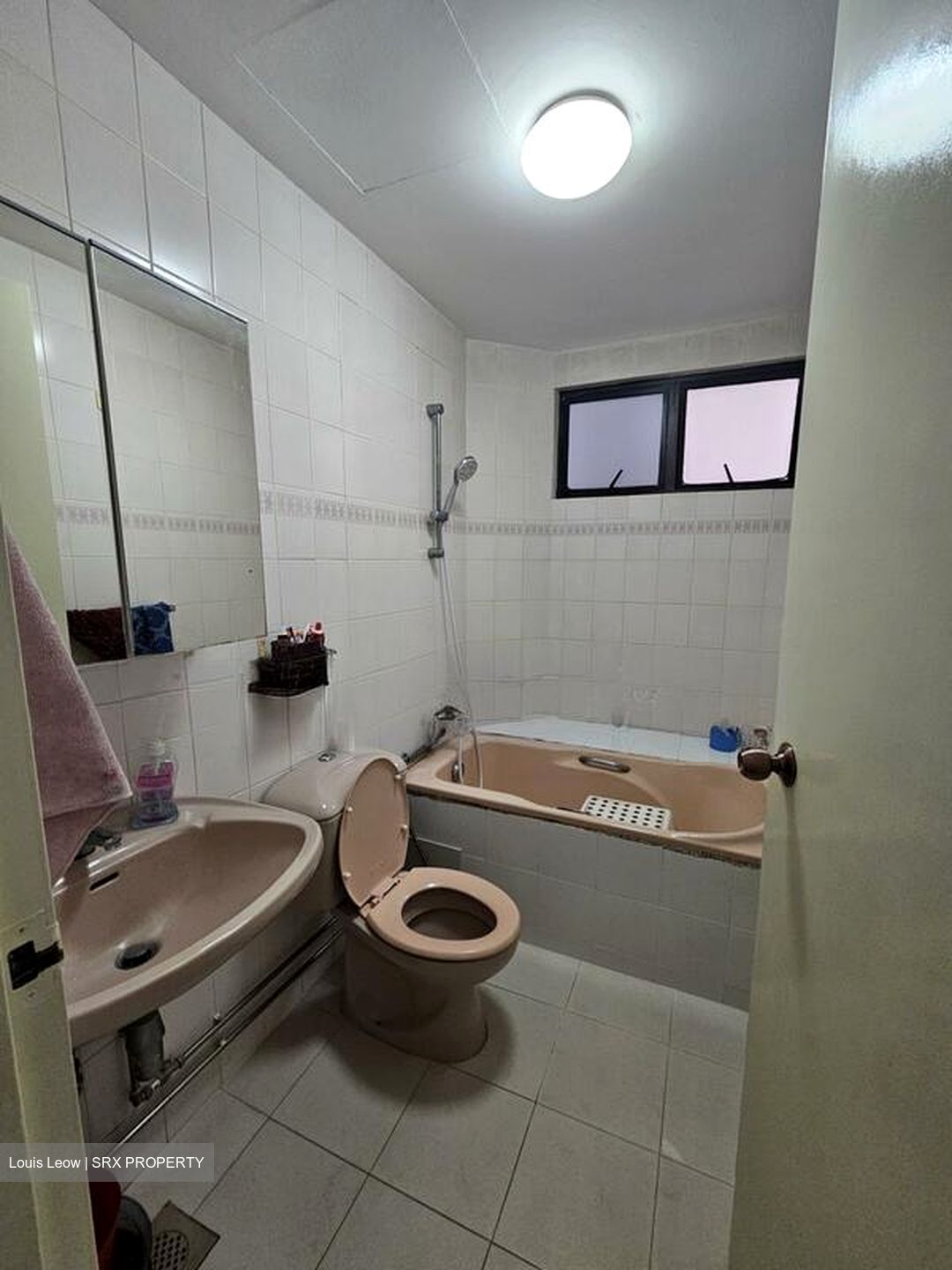 Bayshore Park (D16), Condominium #500267481